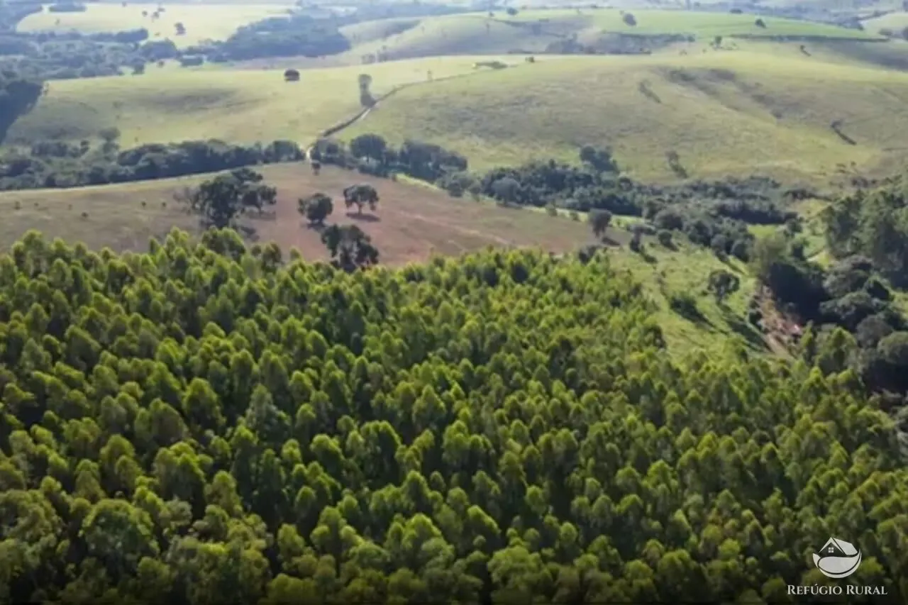 Sítio à venda de 27 ha em Paraisópolis, MG, Brasil