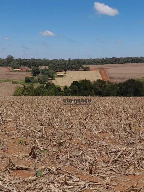 Fazenda à venda de 167 ha em Itapetininga, SP, Brasil