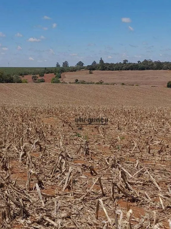 Fazenda à venda de 167 ha em Itapetininga, SP, Brasil