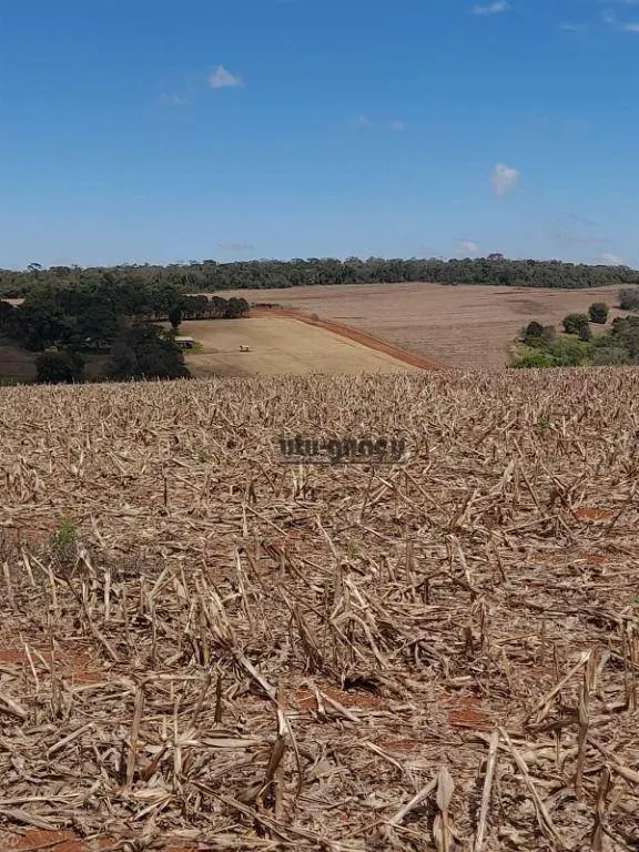 Fazenda à venda de 167 ha em Itapetininga, SP, Brasil