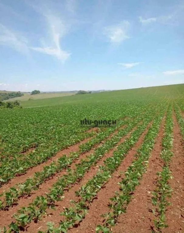 Fazenda à venda de 167 ha em Itapetininga, SP, Brasil
