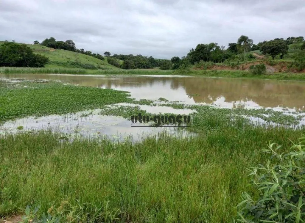 Fazenda à venda de 167 ha em Itapetininga, SP, Brasil
