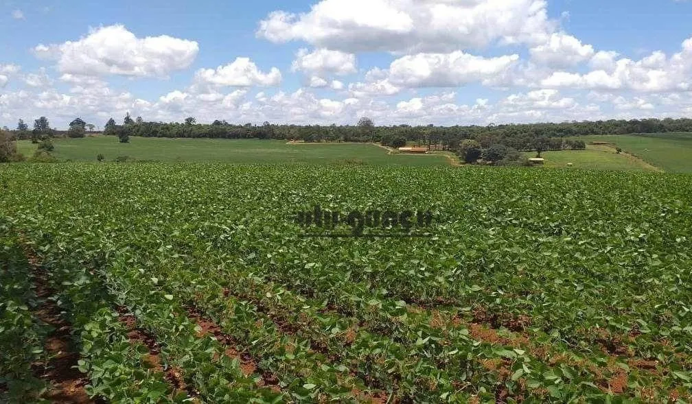 Fazenda à venda de 167 ha em Itapetininga, SP, Brasil