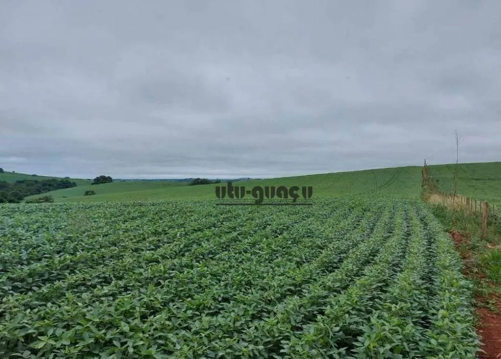 Fazenda à venda de 167 ha em Itapetininga, SP, Brasil