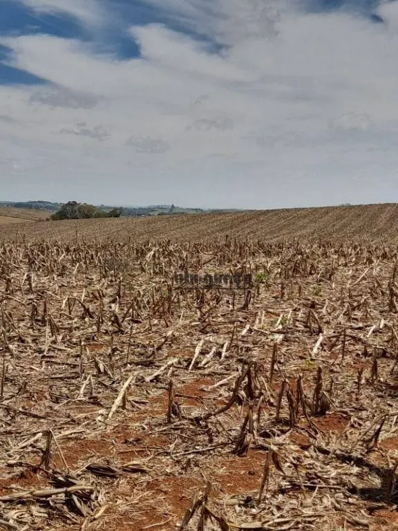 Fazenda à venda de 167 ha em Itapetininga, SP, Brasil