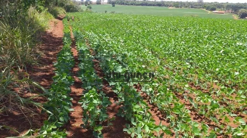 Fazenda à venda de 167 ha em Itapetininga, SP, Brasil