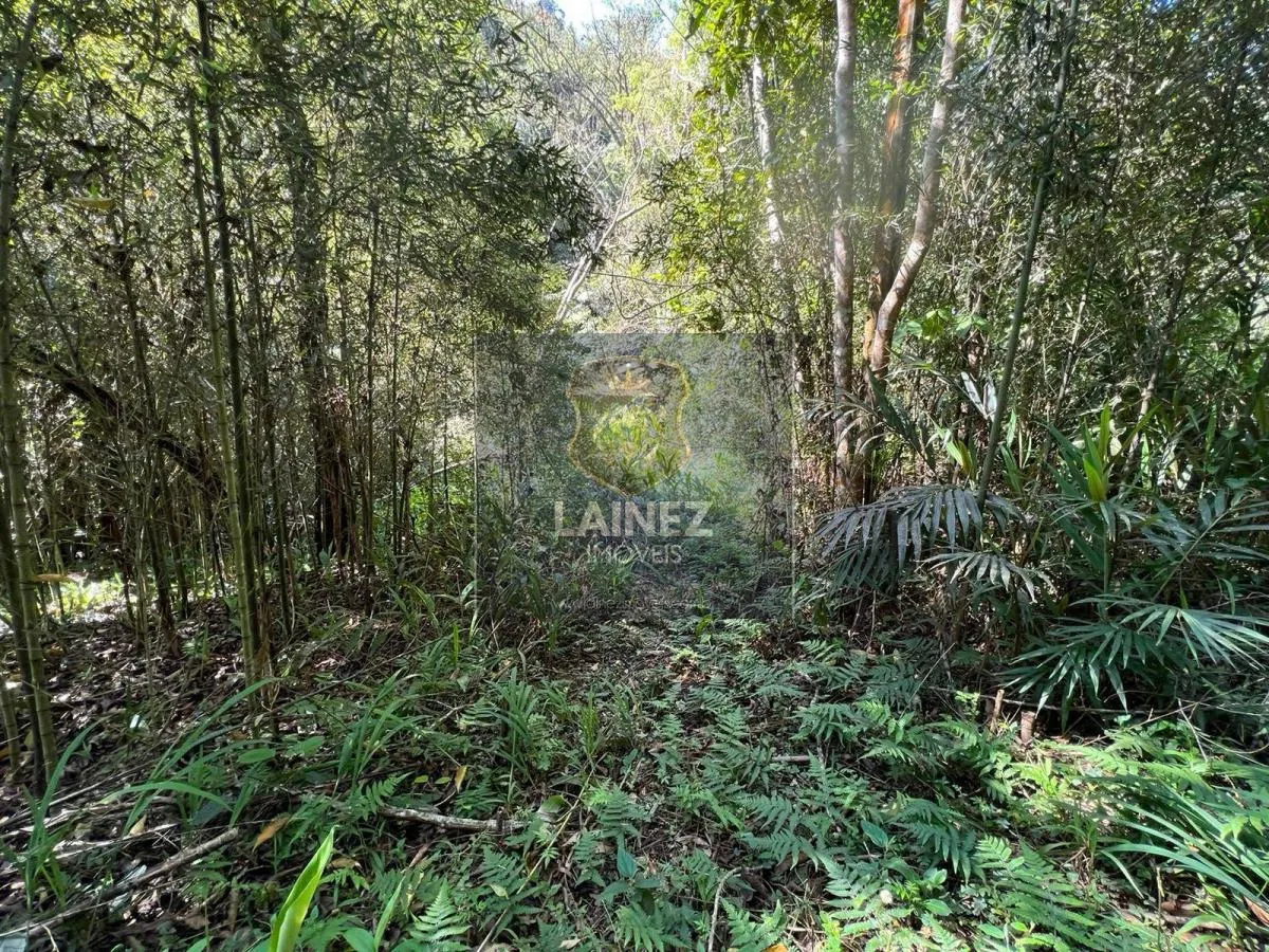 Sítio à venda de 12 ha em São Lourenço da Serra, SP, Brasil