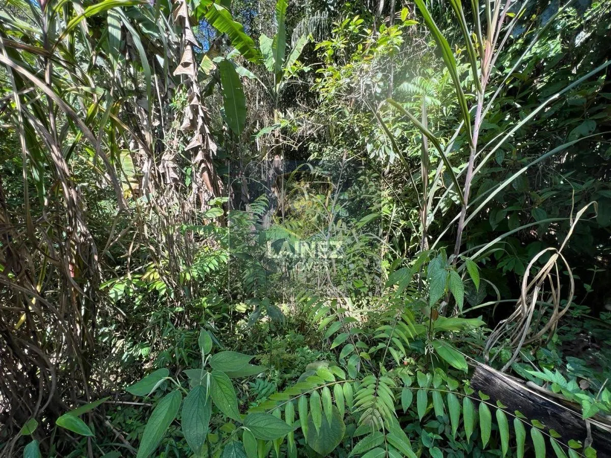 Sítio à venda de 12 ha em São Lourenço da Serra, SP, Brasil
