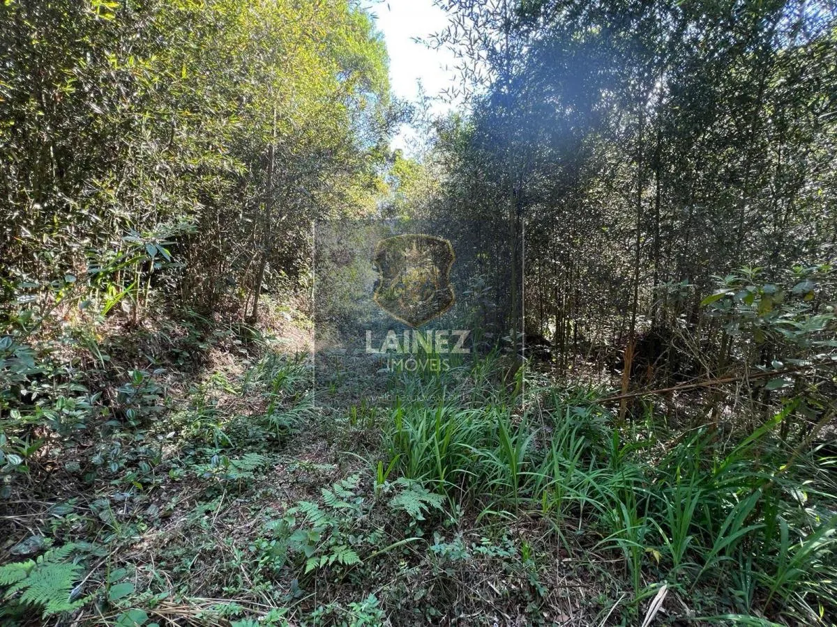 Sítio à venda de 12 ha em São Lourenço da Serra, SP, Brasil