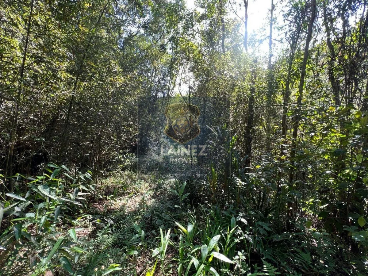 Sítio à venda de 12 ha em São Lourenço da Serra, SP, Brasil