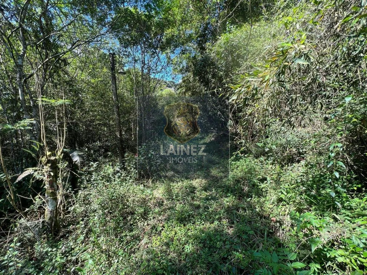 Sítio à venda de 12 ha em São Lourenço da Serra, SP, Brasil