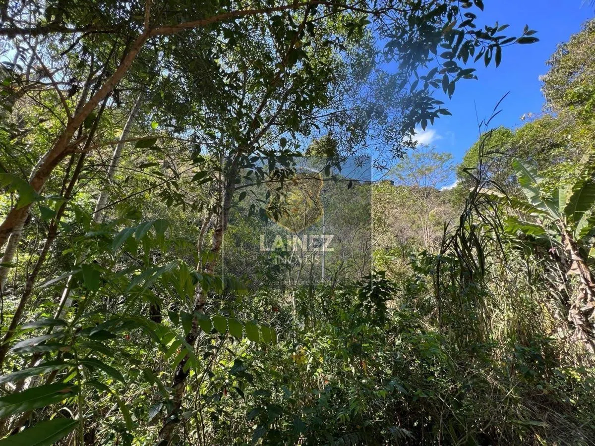 Sítio à venda de 12 ha em São Lourenço da Serra, SP, Brasil