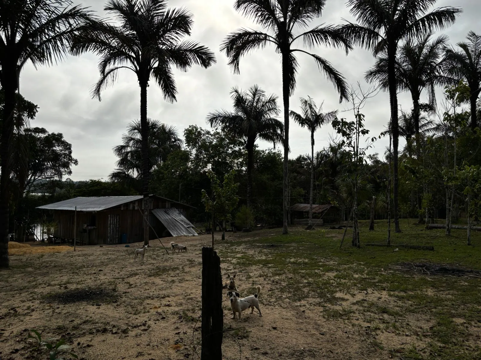 Sítio à venda de 1.000 ha em Manaus, AM, Brasil