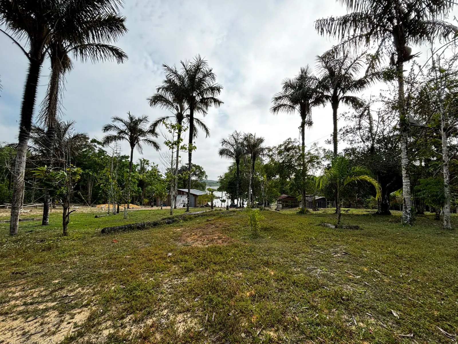Sítio à venda de 1.000 ha em Manaus, AM, Brasil