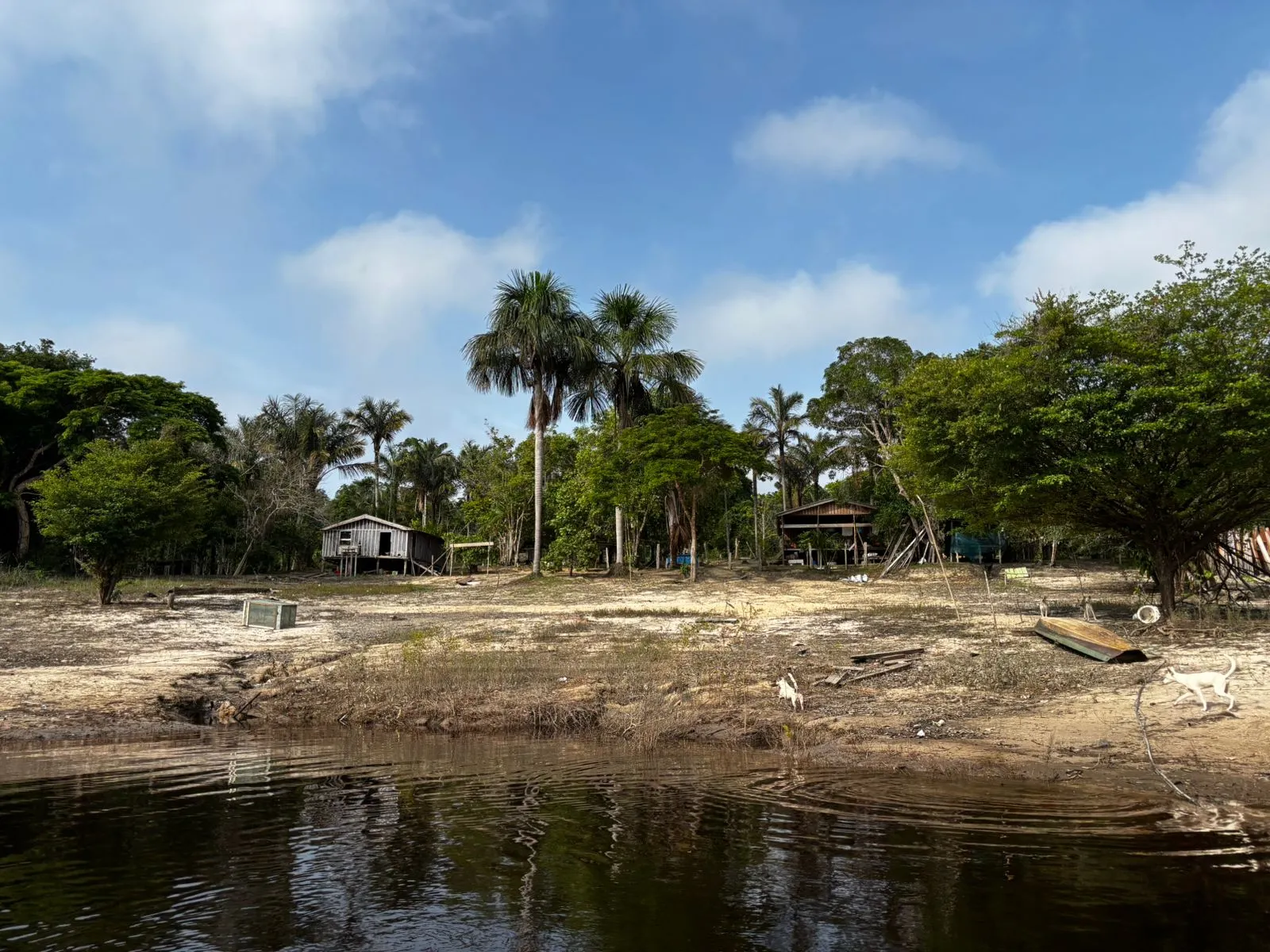 Sítio à venda de 1.000 ha em Manaus, AM, Brasil