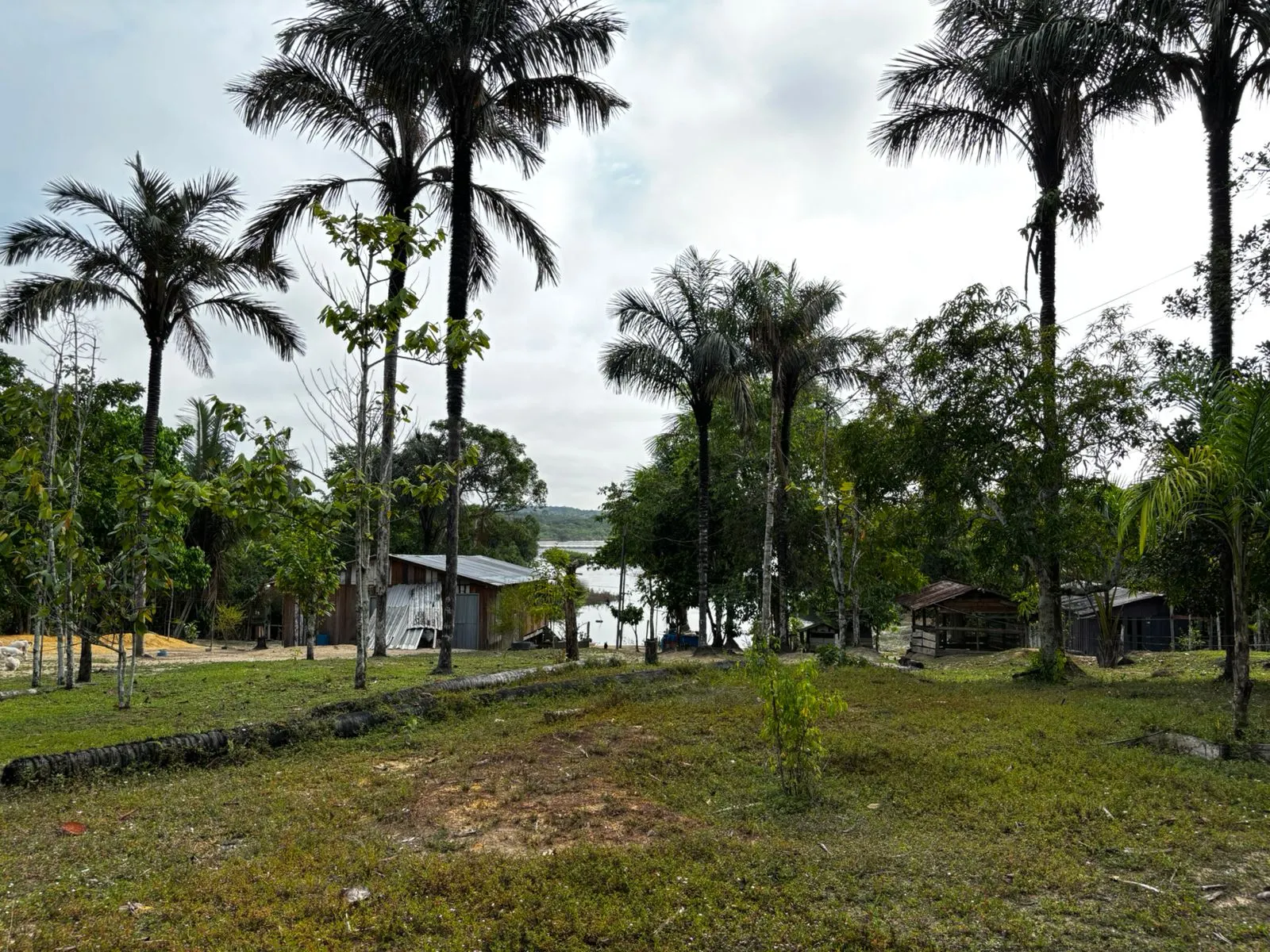 Sítio à venda de 1.000 ha em Manaus, AM, Brasil