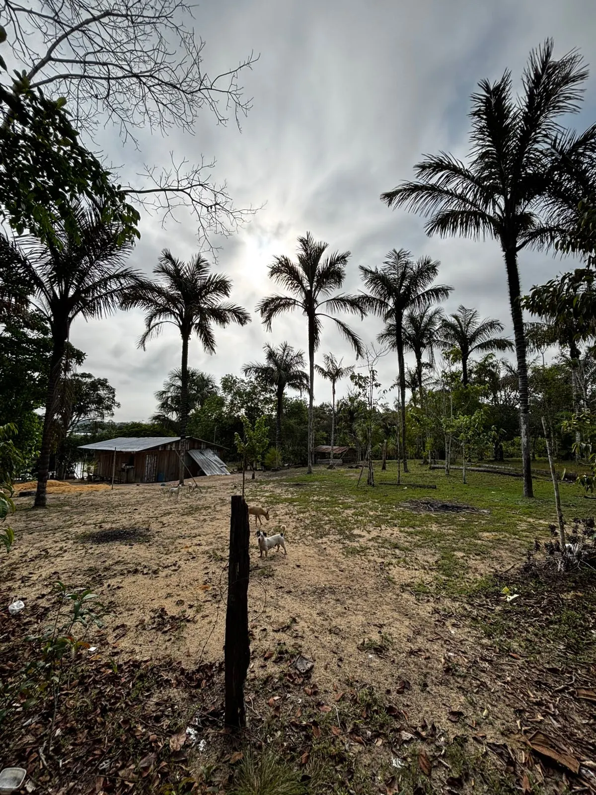 Sítio à venda de 1.000 ha em Manaus, AM, Brasil