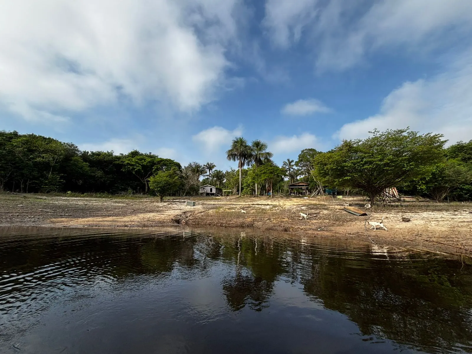 Sítio à venda de 1.000 ha em Manaus, AM, Brasil