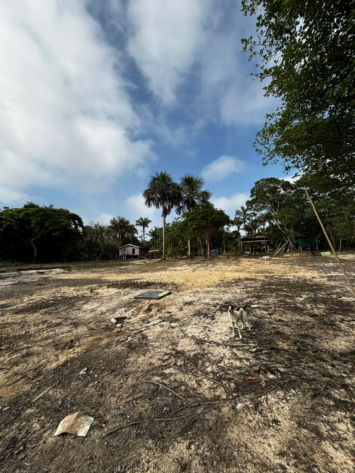 Sítio à venda de 1.000 ha em Manaus, AM, Brasil
