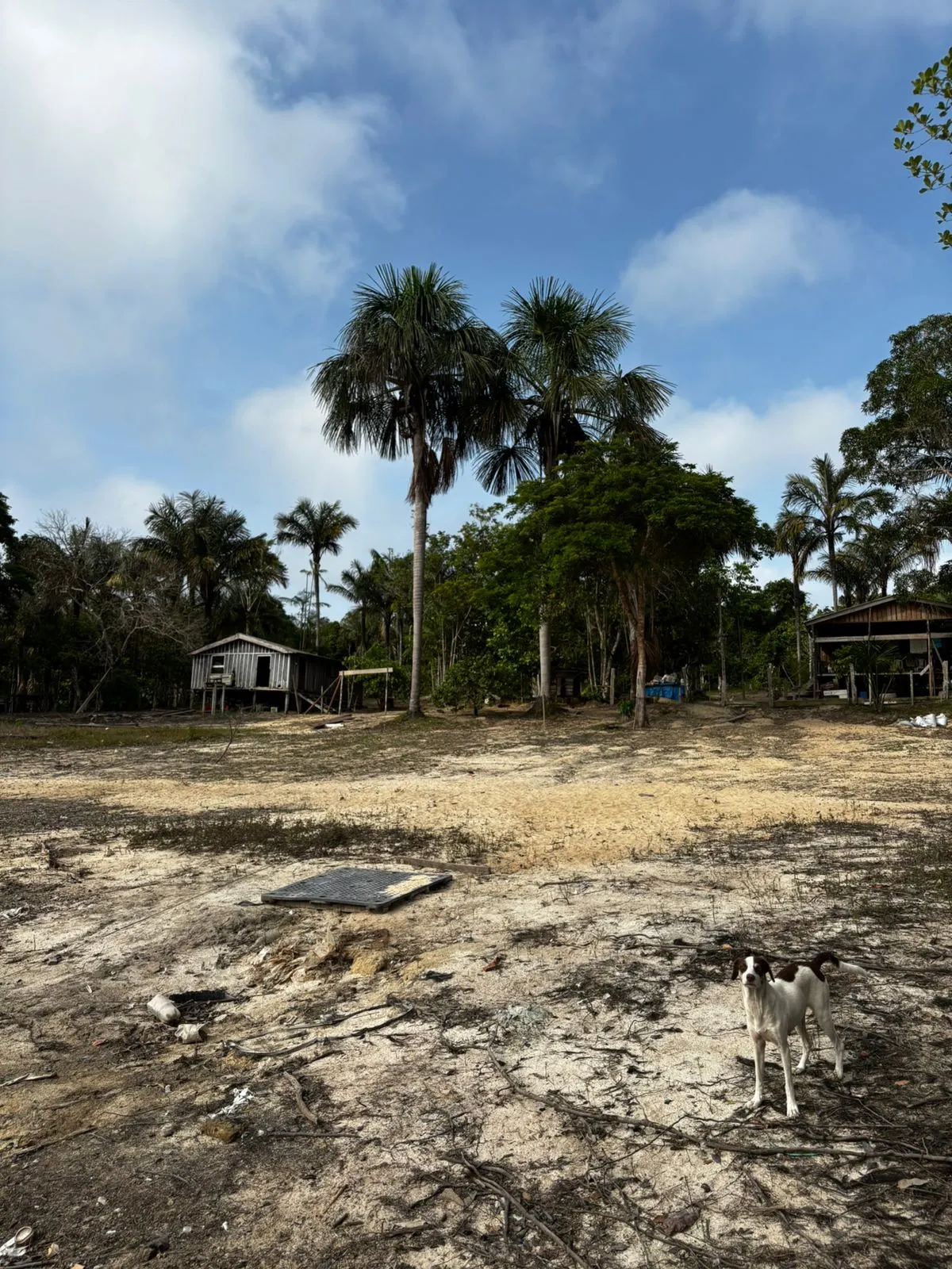 Sítio à venda de 1.000 ha em Manaus, AM, Brasil
