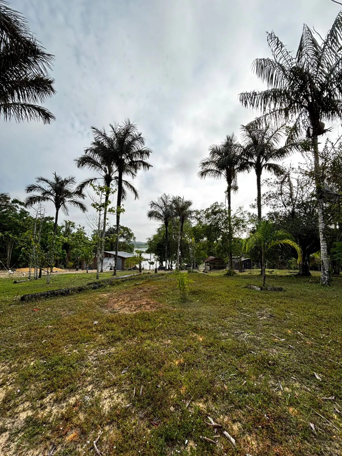 Sítio à venda de 1.000 ha em Manaus, AM, Brasil