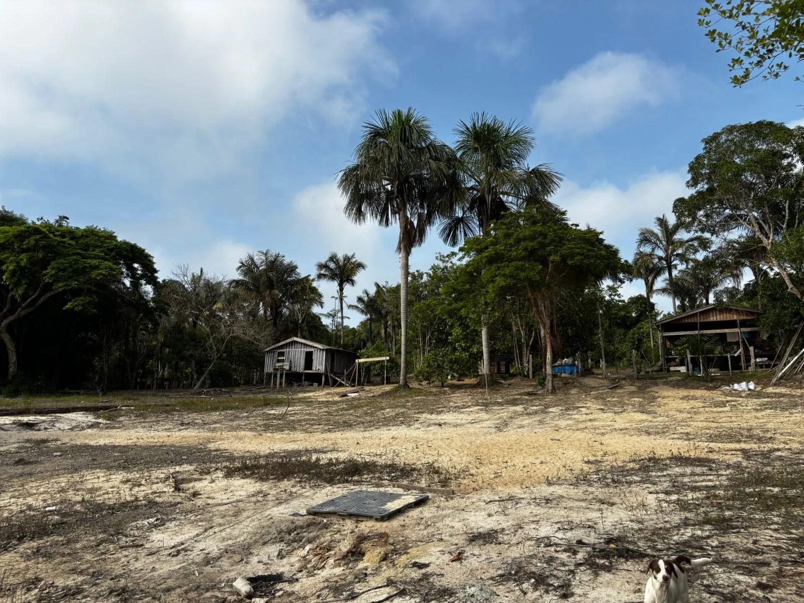 Sítio à venda de 1.000 ha em Manaus, AM, Brasil