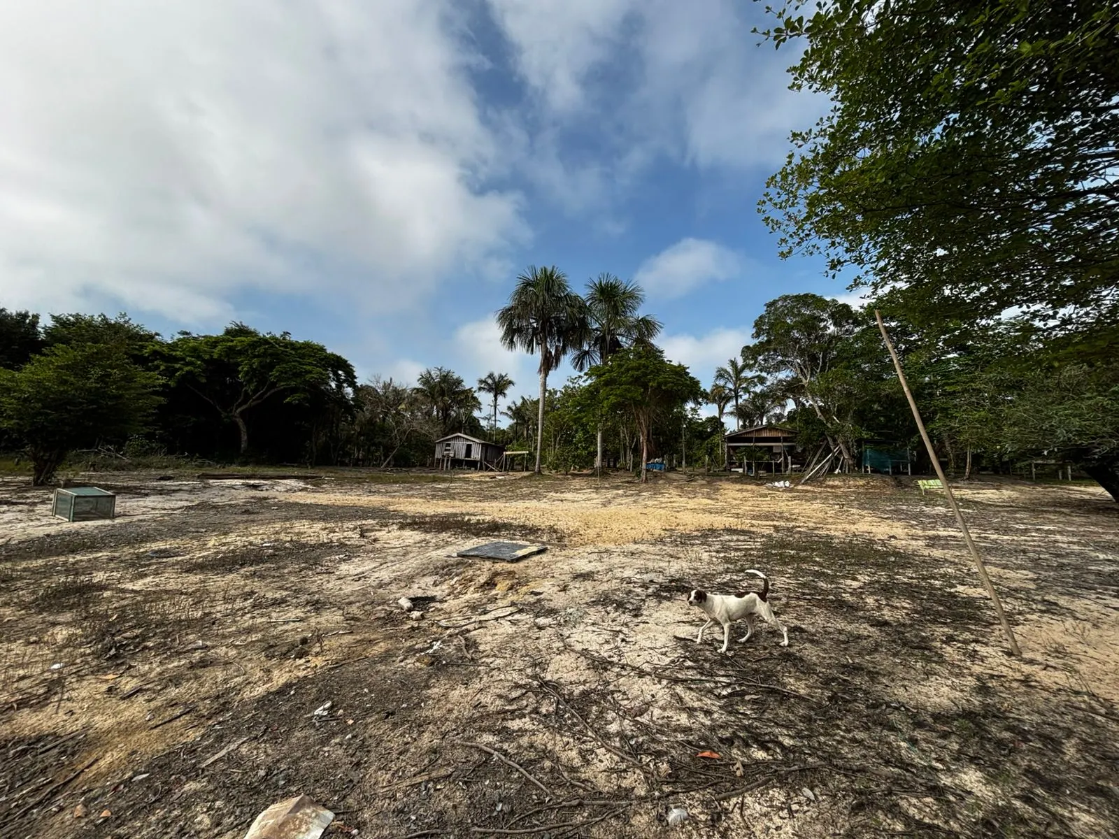 Sítio à venda de 1.000 ha em Manaus, AM, Brasil