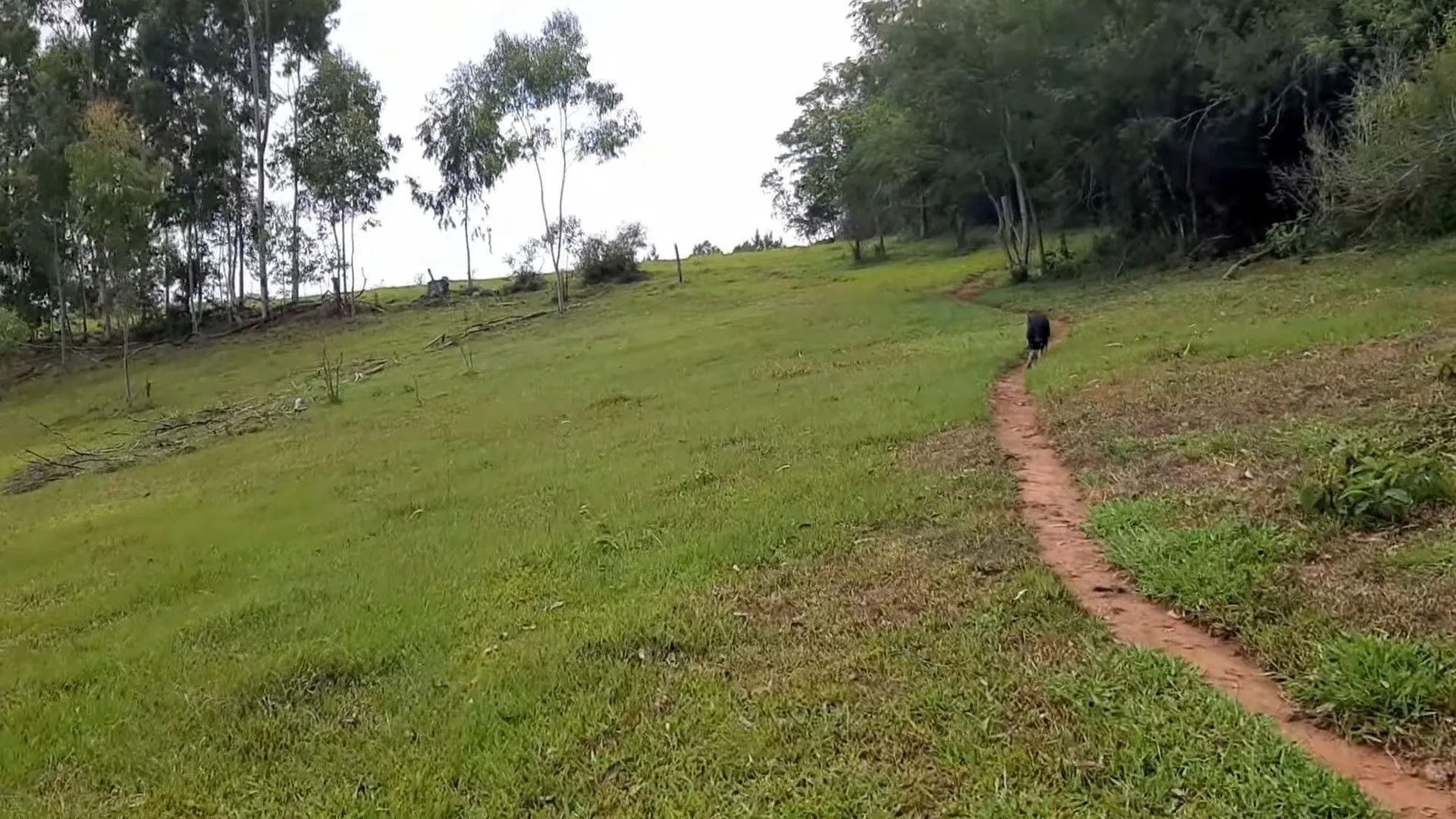 Small farm for sale of 37 acres in Parobé, RS, Brazil