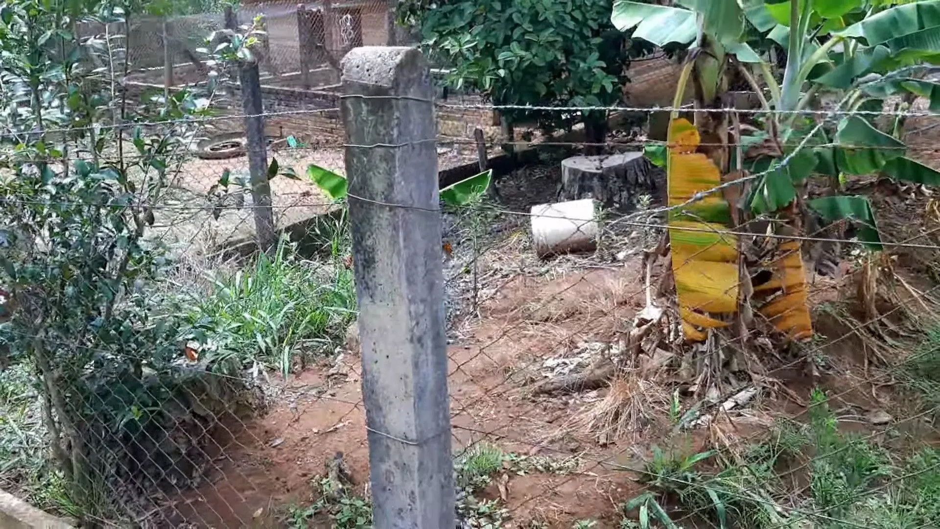 Small farm for sale of 37 acres in Parobé, RS, Brazil