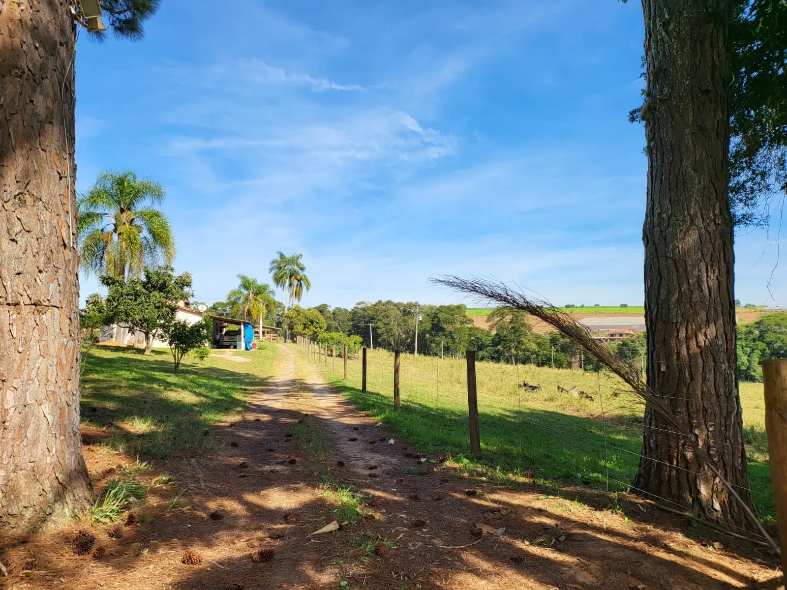 Small farm for sale of 24 acres in São Miguel Arcanjo, SP, Brazil