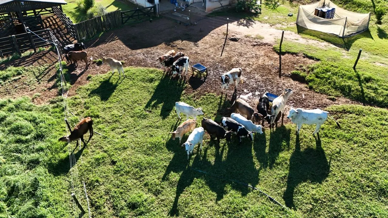 Small farm for sale of 24 acres in São Miguel Arcanjo, SP, Brazil