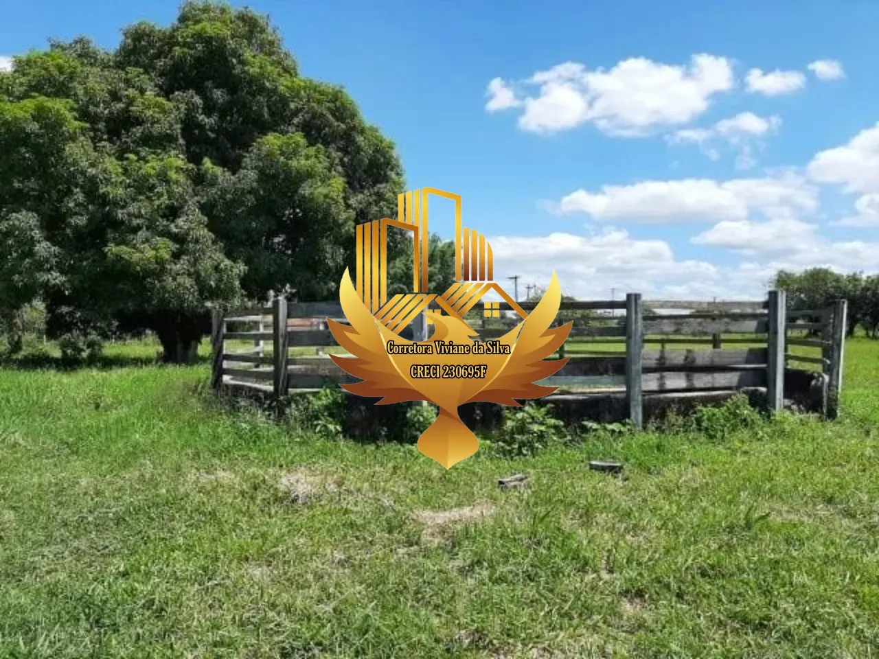 Small farm for sale of 23 acres in Tremembé, SP, Brazil