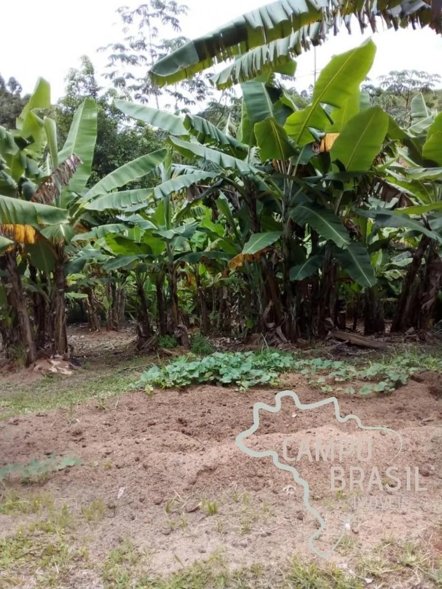 Chácara à venda de 2 ha em Jacareí, SP, Brasil