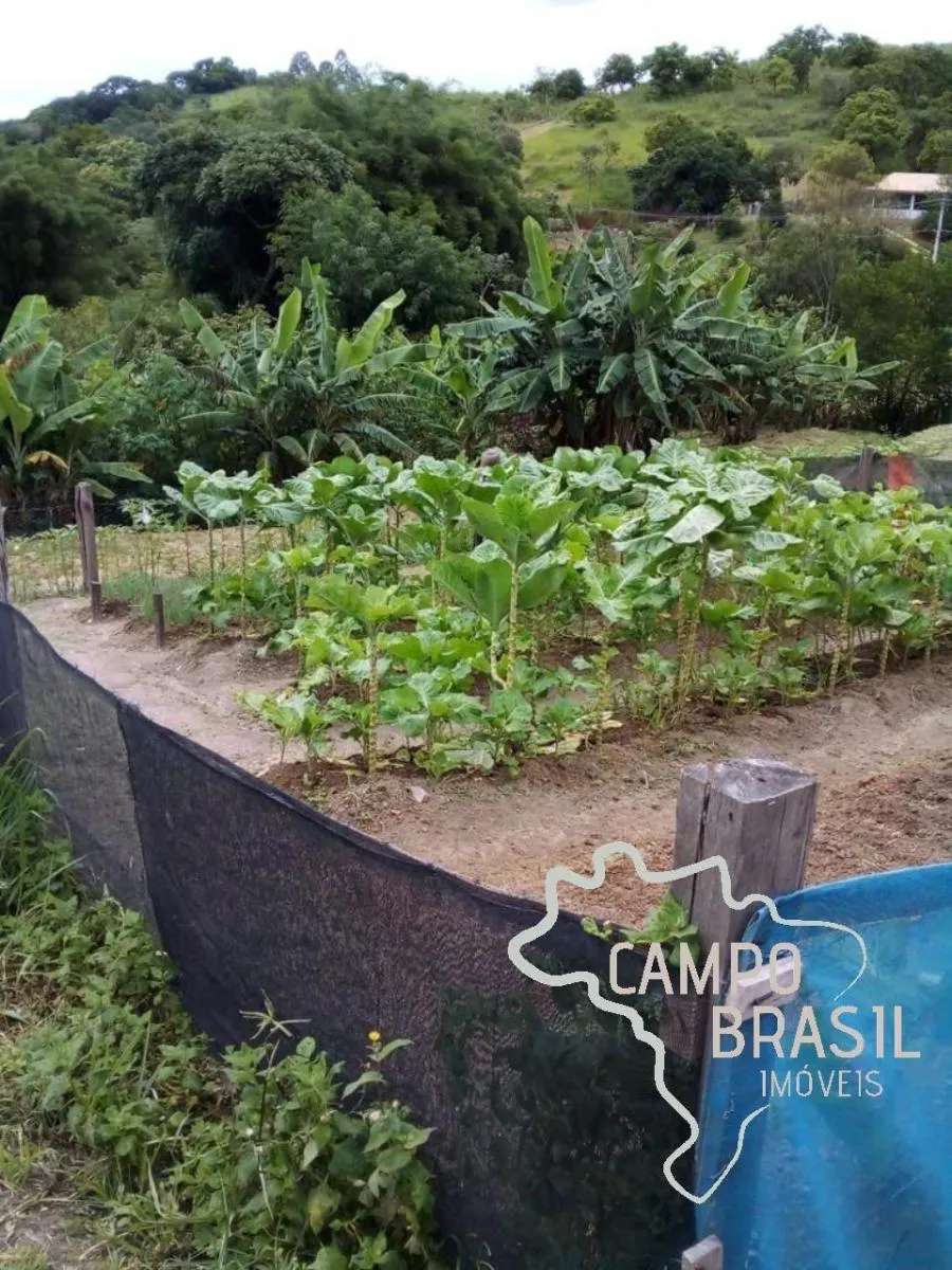 Chácara à venda de 2 ha em Jacareí, SP, Brasil