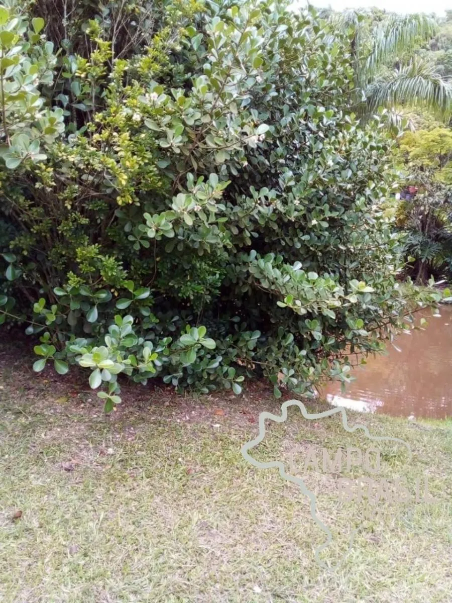 Chácara à venda de 2 ha em Jacareí, SP, Brasil