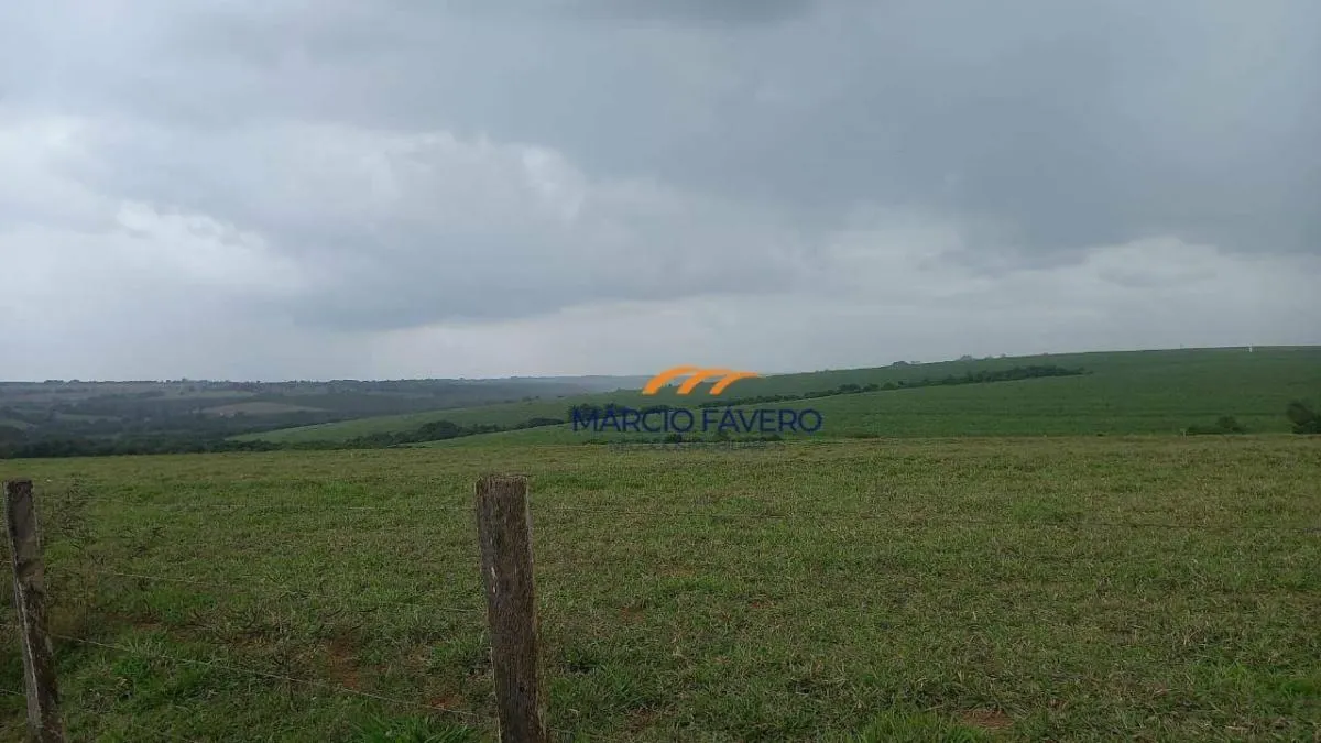 Fazenda à venda de 213 ha em Mogi Guaçu, SP, Brasil