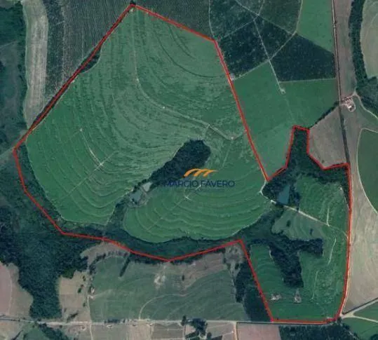 Fazenda à venda de 213 ha em Mogi Guaçu, SP, Brasil