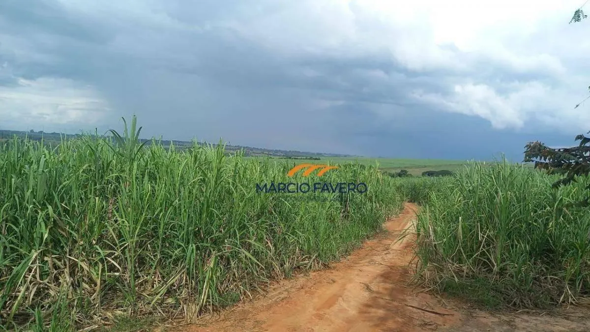 Fazenda à venda de 213 ha em Mogi Guaçu, SP, Brasil