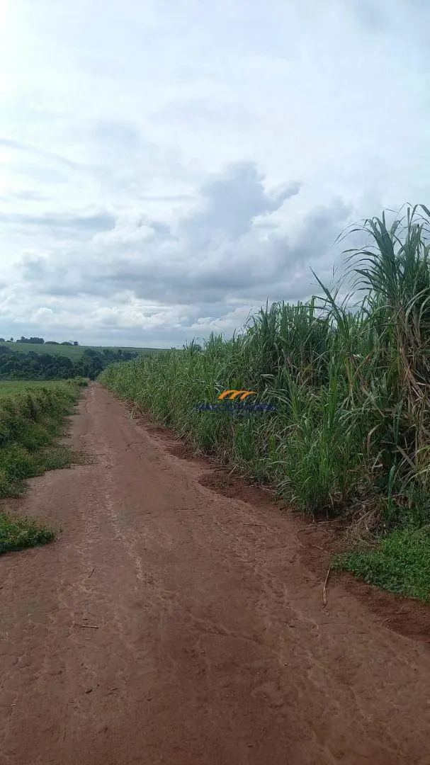 Fazenda à venda de 213 ha em Mogi Guaçu, SP, Brasil