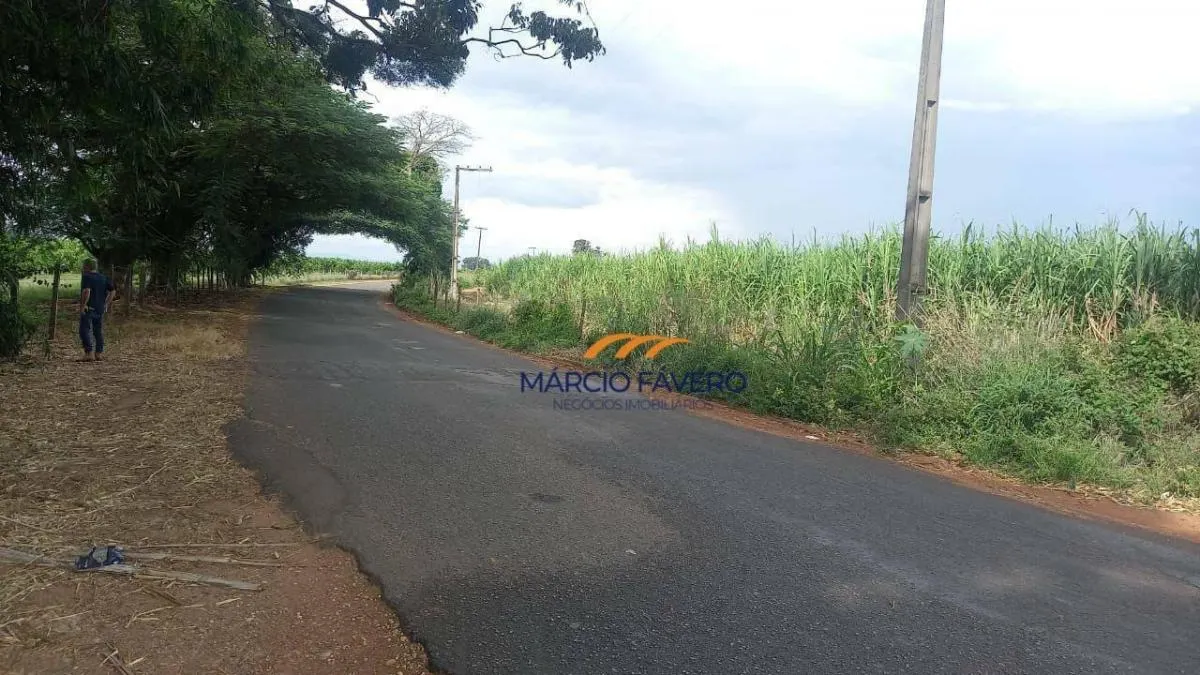 Fazenda à venda de 213 ha em Mogi Guaçu, SP, Brasil