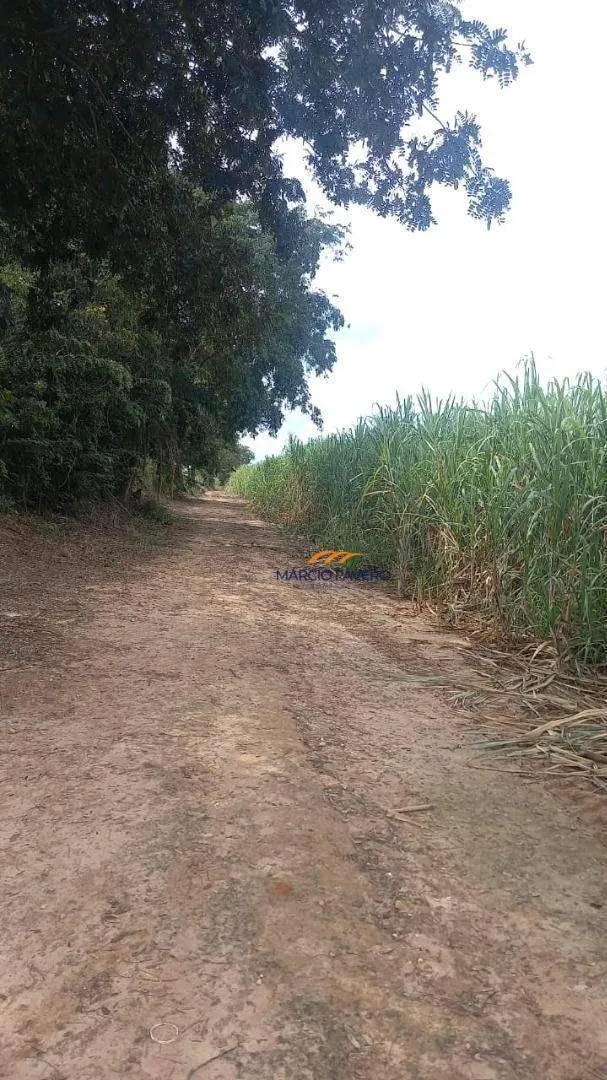 Fazenda à venda de 213 ha em Mogi Guaçu, SP, Brasil