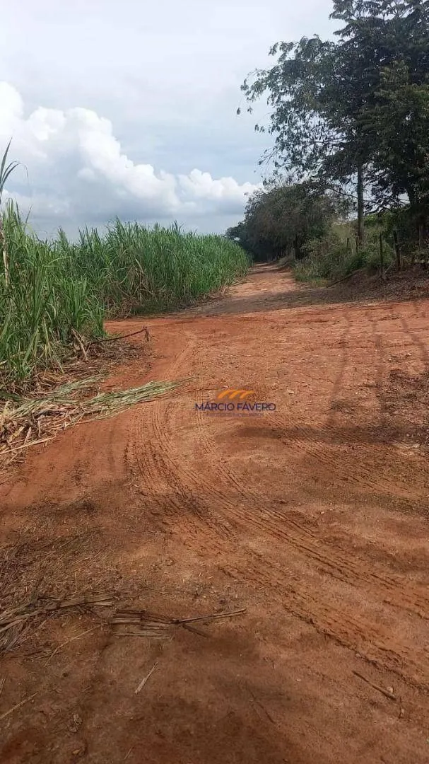 Fazenda à venda de 213 ha em Mogi Guaçu, SP, Brasil