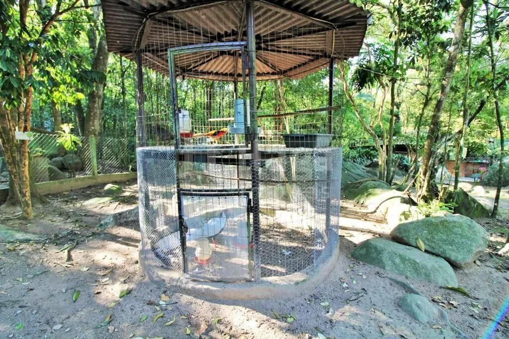 Chácara à venda de 8.000 m² em Canelinha, SC, Brasil