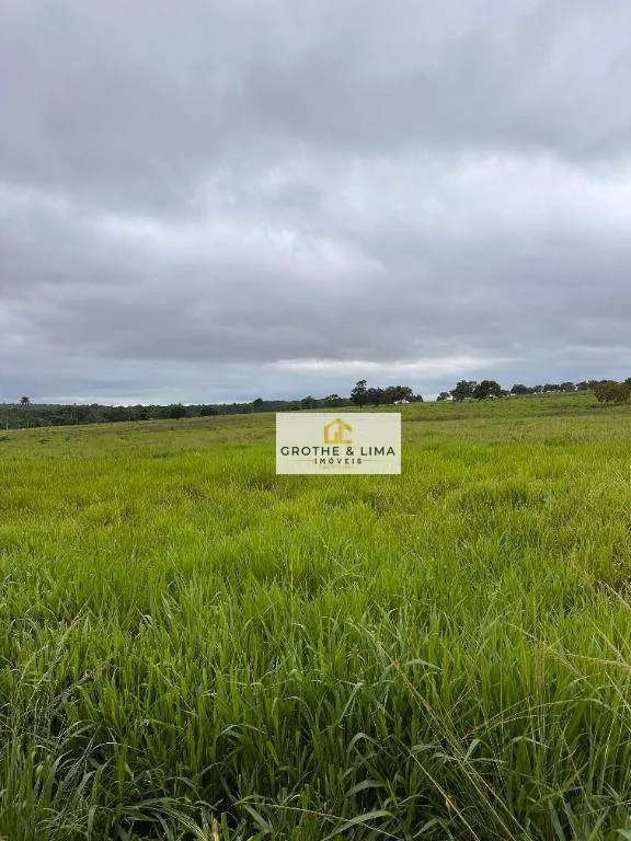 Fazenda à venda de 644 ha em Araguaína, TO, Brasil