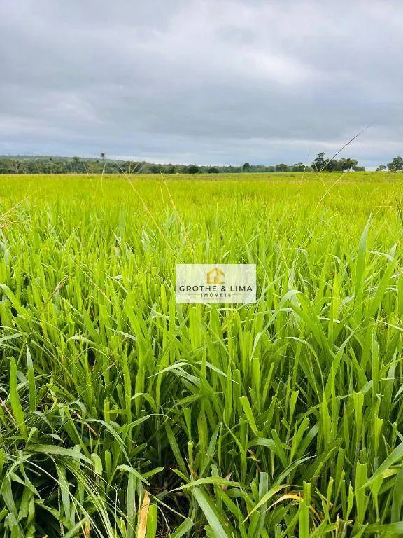 Fazenda à venda de 644 ha em Araguaína, TO, Brasil