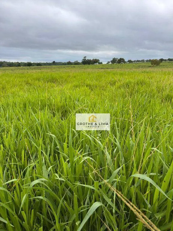 Fazenda à venda de 644 ha em Araguaína, TO, Brasil