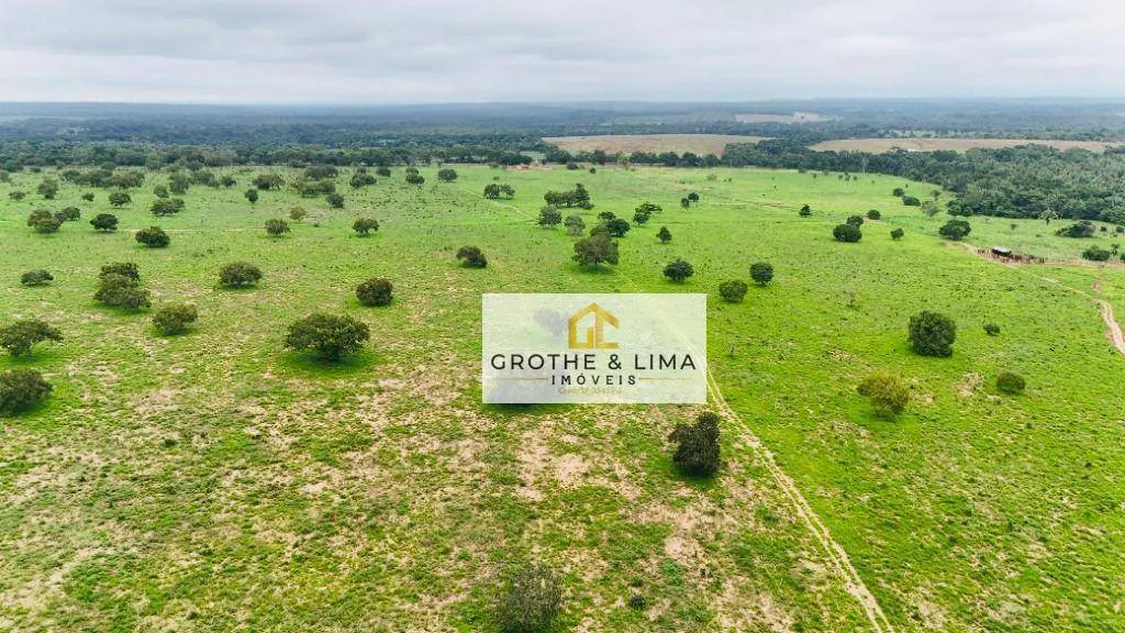 Fazenda à venda de 644 ha em Araguaína, TO, Brasil