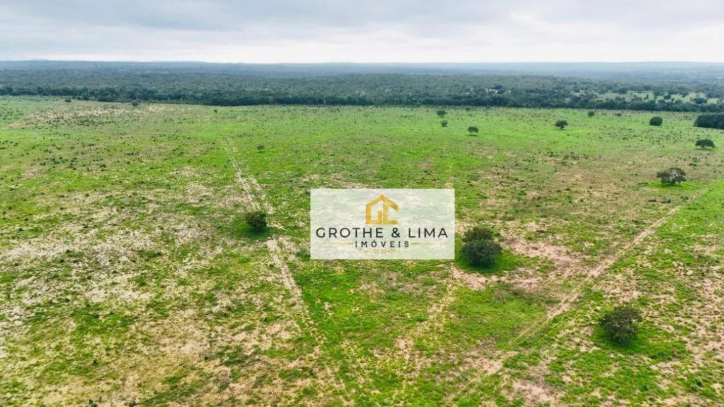Fazenda à venda de 644 ha em Araguaína, TO, Brasil