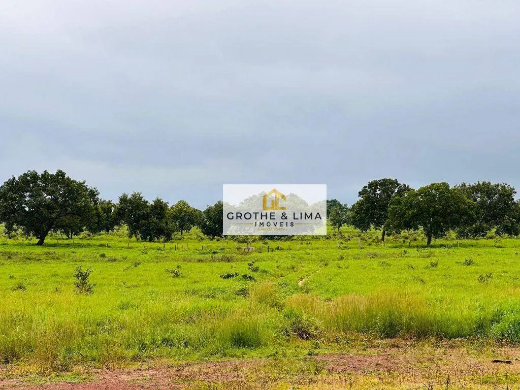 Fazenda à venda de 644 ha em Araguaína, TO, Brasil