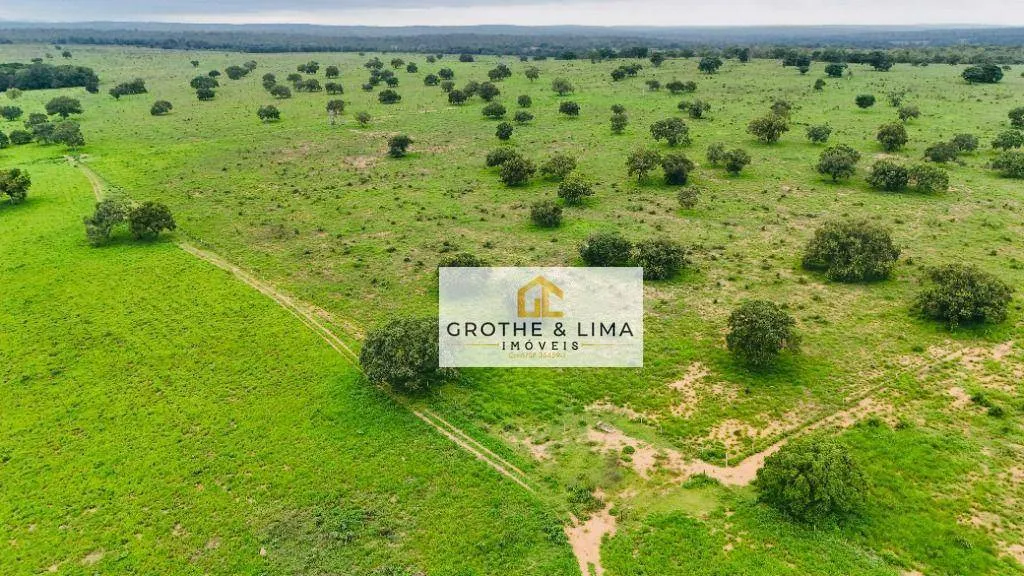 Fazenda à venda de 644 ha em Araguaína, TO, Brasil